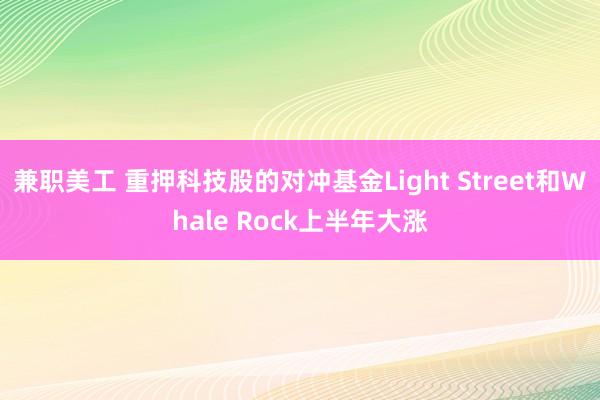 兼职美工 重押科技股的对冲基金Light Street和Whale Rock上半年大涨