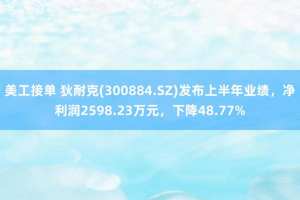 美工接单 狄耐克(300884.SZ)发布上半年业绩，净利润2598.23万元，下降48.77%