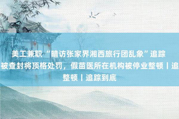 美工兼职 “暗访张家界湘西旅行团乱象”追踪 旅行社被查封将顶格处罚，假苗医所在机构被停业整顿丨追踪到底